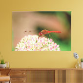 Rode libel foto canvas afdruk (Insitu (Woonkamer))