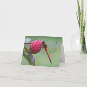 Rode Libel Natuurfotografiekaart Kaart