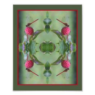 Rode libel op Dogwood Fruit Abstract 8x10 Foto Afdruk