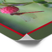 Rode libel op hondenvruchten Abstract Poster (Hoek)