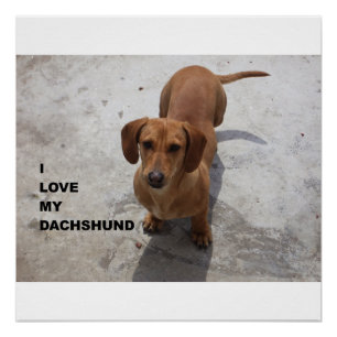 rode liefde voor pic perfect poster