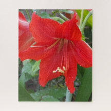 Rode Lilly Bloempuzzel