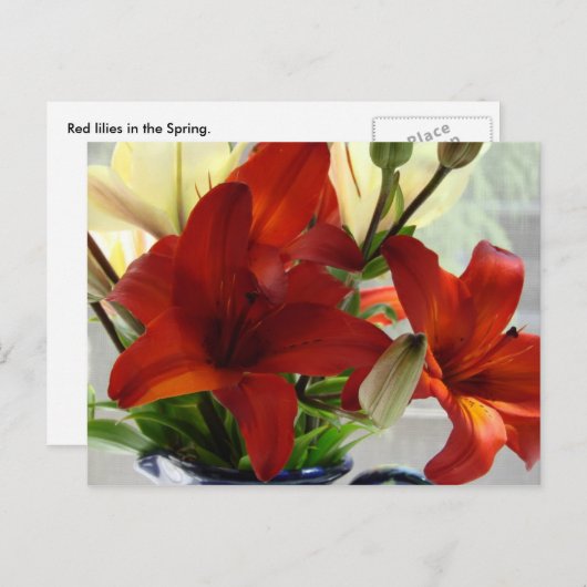 Rode lippen briefkaart (Voorkant / Achterkant)