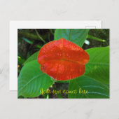 rode lippen feestdagenkaart (Voorkant / Achterkant)