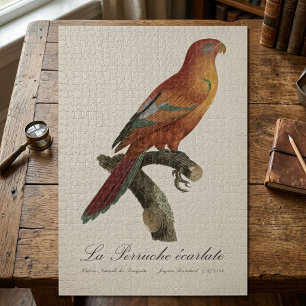 Rode Lori of Eos Bornea, Trichoglossus borneus Legpuzzel