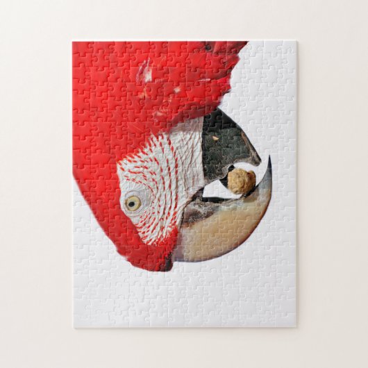 Rode Macaw Parrot met pinda Legpuzzel (Verticaal)