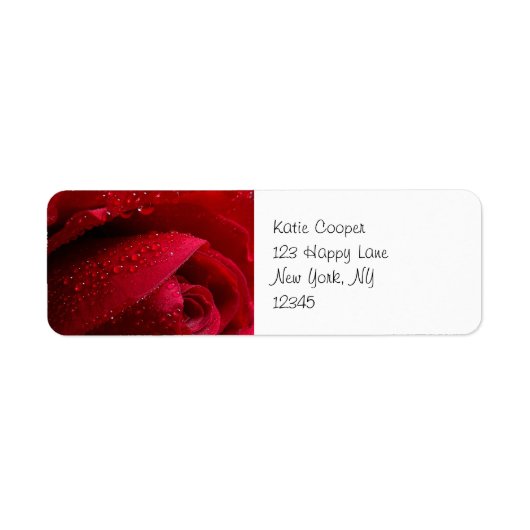 Rode macroRoos met waterdruppels Etiket (Voorkant)