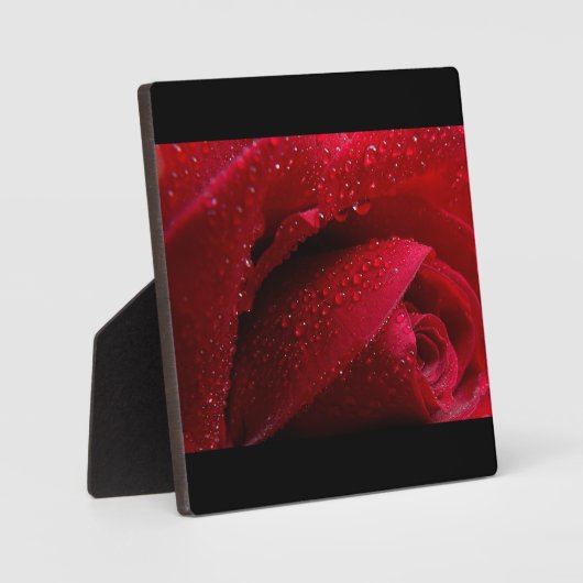 Rode macroRoos met waterdruppels Fotoplaat (Voorkant)