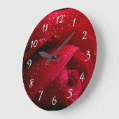 Rode macroRoos met waterdruppels Grote Klok (Hoek)