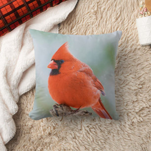 Rode Man Kardinaal Vogel in Sneeuw Natuur Foto Kussen