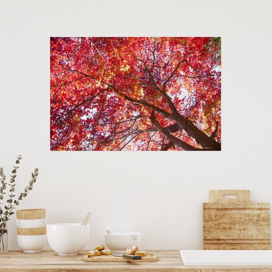 Rode mantel poster (Keuken)