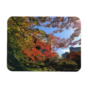 Rode Mapels in Japanse tuin Magneet