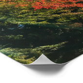 Rode Mapels in Japanse tuin Poster (Hoek)