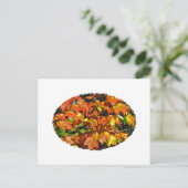 Rode Maple (herfst) Briefkaart (Staand voorkant)