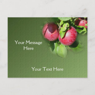 Rode McIntosh-appels op de Natuur van de bomen Briefkaart