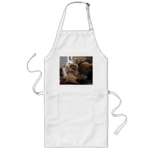 rode merle mini aussie slaapt 2 lang schort