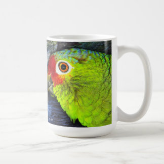 Rode Mok met Amazon Parrot