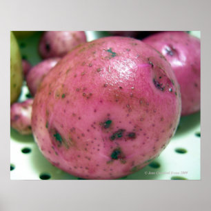 Rode Noordse aardappel Poster