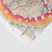 Rode octopus compass beige kaart Nautisch Tissuepapier (Detail)