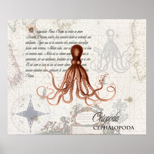 rode octopus illustratie Nautical Map Poster (Voorkant)