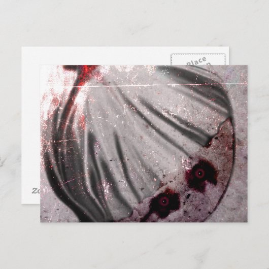 Rode ogen briefkaart (Voorkant / Achterkant)