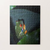 Rode ogen kikker legpuzzel (Verticaal)