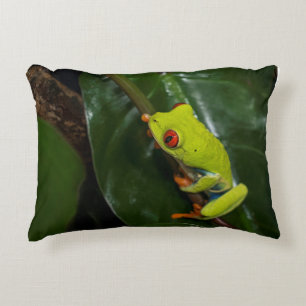 Rode ogen kikker op stoom accent kussen