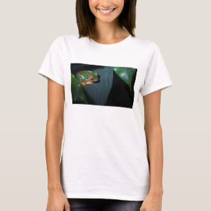 Rode ogen kikker t-shirt