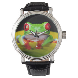 Rode Oog Boomkikker, Agalychinis callidryas, Inhee Horloge
