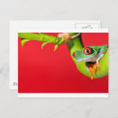 rode oogboomkikker briefkaart (Voorkant / Achterkant)