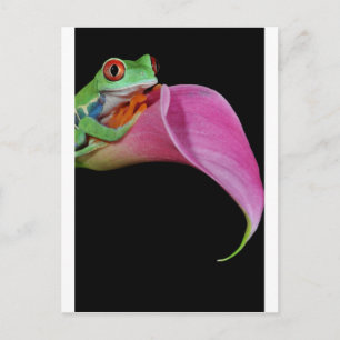 rode oogboomkikker briefkaart