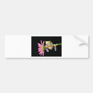 rode oogboomkikker bumpersticker
