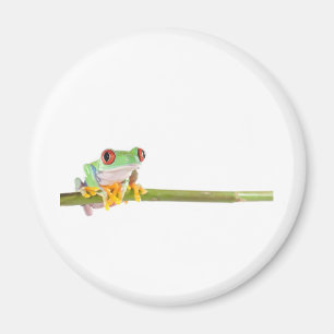 rode oogboomkikker magneet