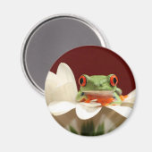 rode oogboomkikker magneet (Voorkant / Achterkant)