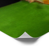 rode oogboomkikker poster (Hoek)