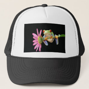 rode oogboomkikker trucker pet