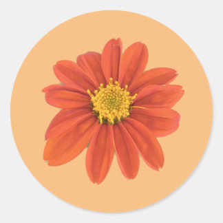 Rode oranje bloemsticker ronde sticker