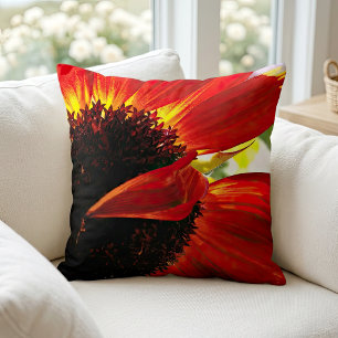 Rode Oranje Gerbera Marguerite Foto Modern Stijlvo Kussen