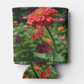 rode oranje melkbloem, rode bloemtuin blikjeskoeler (Achterkant)