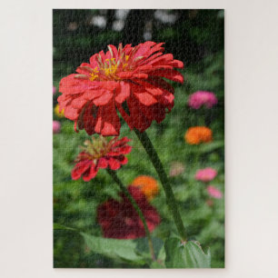 rode oranje melkbloem, rode bloemtuin legpuzzel