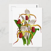  rode orchidee ventilator briefkaart (Voorkant / Achterkant)