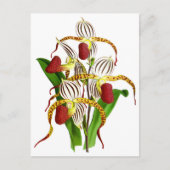 rode orchidee ventilator briefkaart (Voorkant)