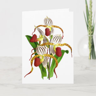  rode orchidee ventilator kaart