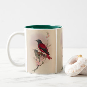Rode Oriole door John Gould Tweekleurige Koffiemok