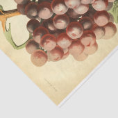 Rode Paarse Druivenwijn Ephemera Decoupage Tissuepapier (Detail)