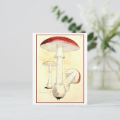  rode paddenstoel / paddenstoel illustratie briefkaart (Staand voorkant)