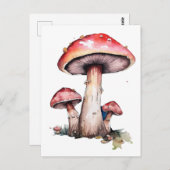 Rode paddenstoelen briefkaart (Voorkant / Achterkant)