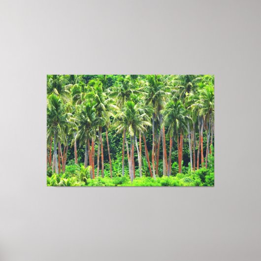 RODE PALM 40x60 Canvas Afdruk (Voorkant)