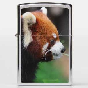 Rode panda