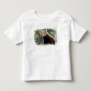 Rode panda (Ailurus fulgens) Kinder Shirts